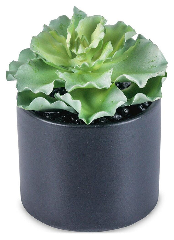 Greenery Greenery (Set of 6)