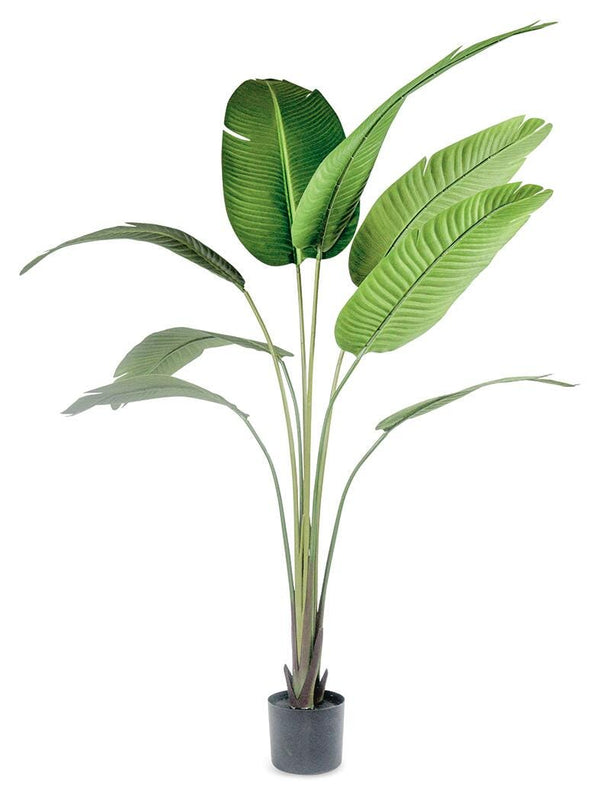 Greenery Greenery
