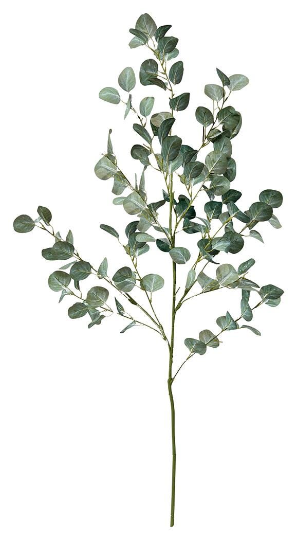 Floral Floral (Set of 12)