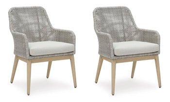 Hensley Outdoor Dining Arm Chair (Set of 2)