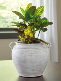 Bundeena Vase in Distressed White