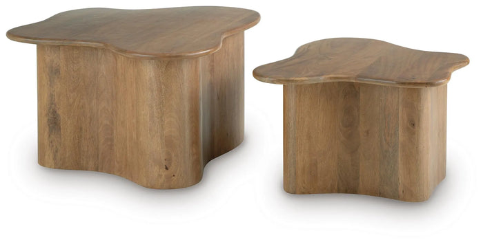 Hartwell Point Accent Coffee Table (Set of 2)