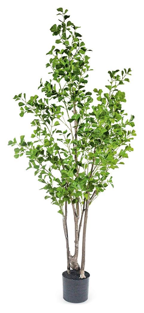 Greenery Greenery