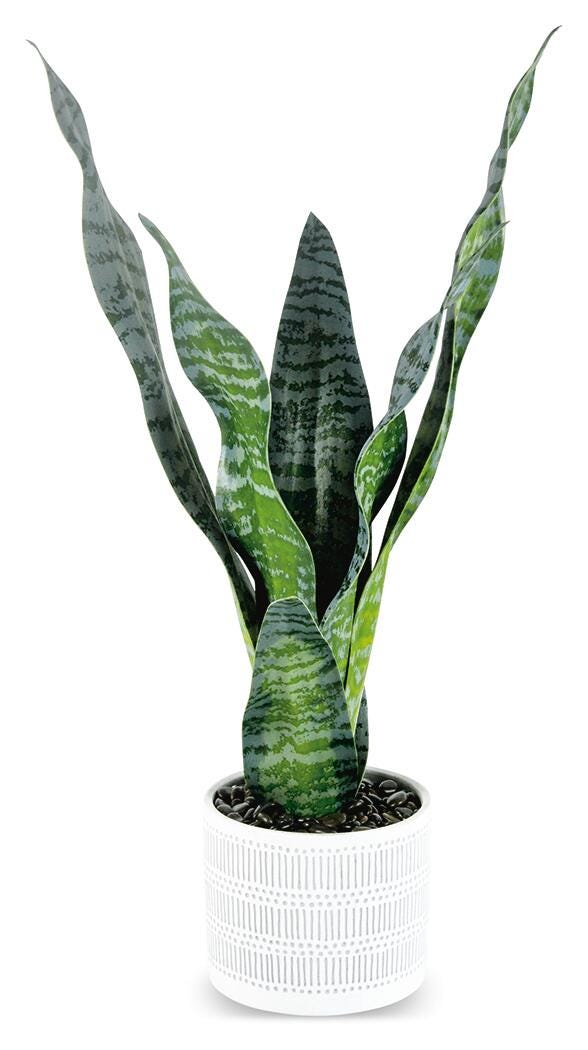 Greenery Greenery (Set of 4)