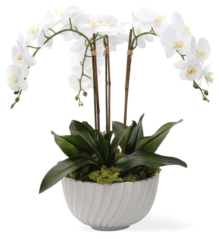 Fernlea Greenery in Green/White