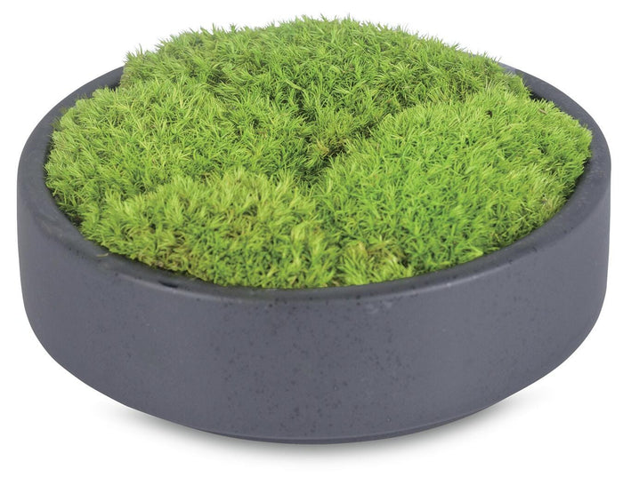 Fernlea Greenery in Green VII