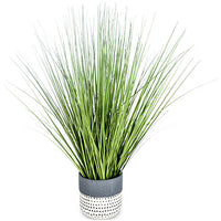Fernlea Greenery in Green V