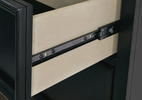 Kelmar Dresser and Mirror