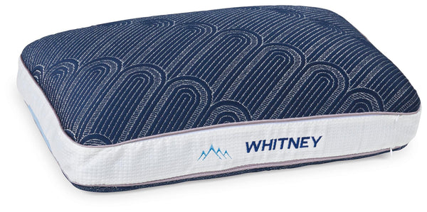 Whitney 15.25 cm Standard Pillow (4/CS)