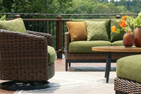 Ashdown Outdoor Swivel Lounge Chair with Cushion