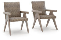 Harlow Bay Outdoor Arm Chair (Set of 2)