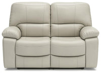 Sheffield Reclining Loveseat in Coconut